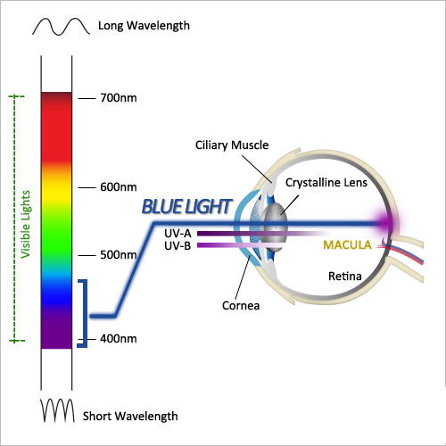 Blue Light Technology